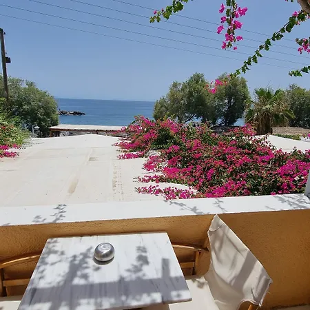 Nostos (adults Only) 2*